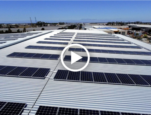 How did Pacific Solar help save BidFoods $1.6 million in energy costs at their Dandenong facility?